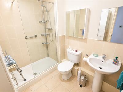Picture 7